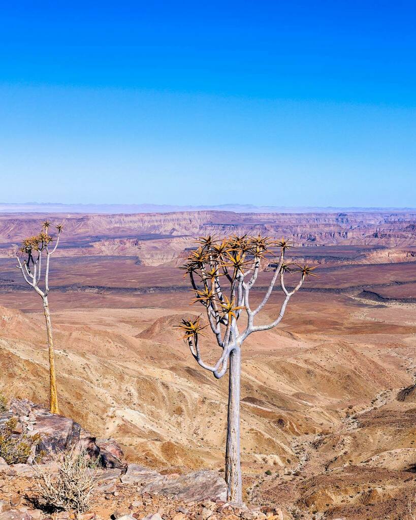 One more geological wonders of #Namibia: the Fish river canyon, biggest canyon in the world, just after the Grand Canyon. This is the stunning view from the Fish river lodge, where you should absolutely stay, should you drive all the way south in Namibi… instagr.am/p/CUp58SusxDI/