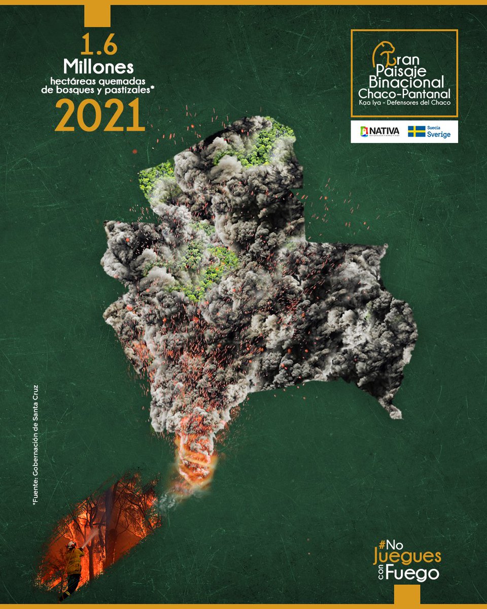 La mayoría de incendios forestales que ocurren en la región de la Chiquitanía, Chaco y Pantanal, son causados por el ser humano y constituyen un problema ambiental grave. La protección de la naturaleza es tarea de tod@s. Cuidar el ambiente es cuidar la vida. #NoJueguesConFuego