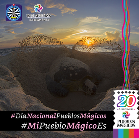 IslaMagico's tweet photo. La belleza de la naturaleza la encuentras en un #PuebloMágico hoy celebramos el #20AniversarioPueblosMágicos #MiPuebloMágicoEs #IslaMujeres #DesoveDeTortuga @SECTUR_mx  @SedeturQROO  @IslaMujeresGob https://t.co/RwJTp1aEl8