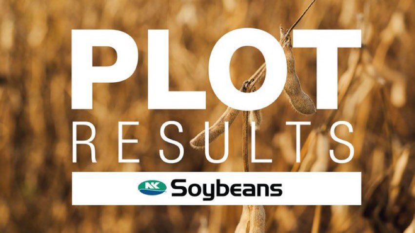 Kam Dinkla tweet media