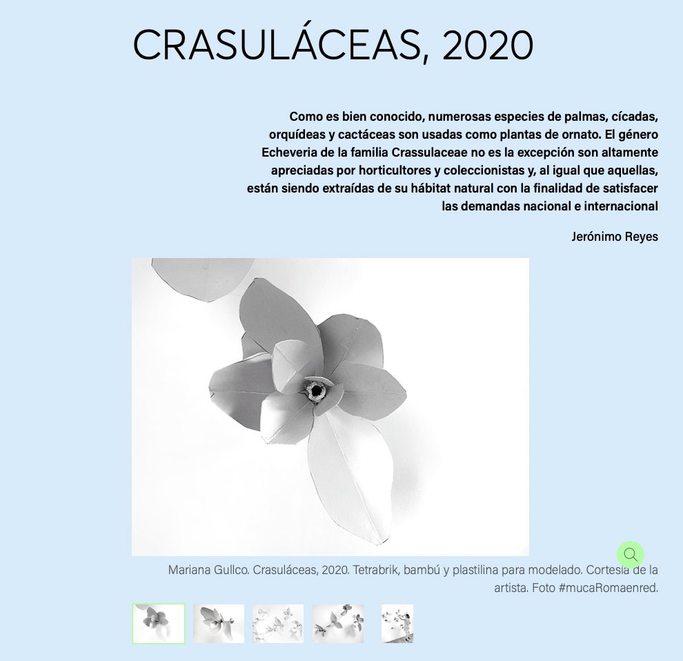 "El todo es más que la suma de sus partes."

Levins y Lewonit

🌱 Conoce Crasuláceas, 2020. Inspirada en el género Echeveria de la familia Crassulaceae, Mariana Gullco utilizó tetrabrik usado, bambú y plastilina para modelado.

#Holobiontes