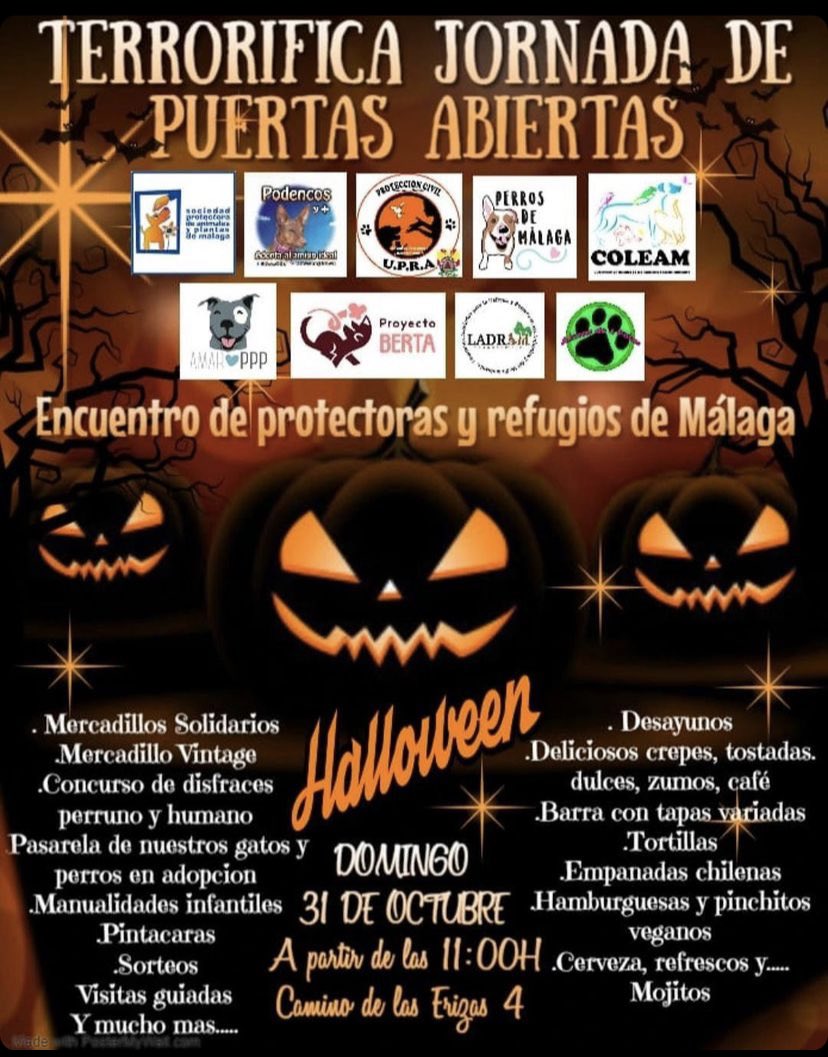 protemalaga's tweet photo. Próxima jornada de puertas abiertas: 31 de octubre a partir de las 11h.

Podrás disfrutar de desayunos, mercadillos, visitas guiadas, comida… y todo solidario‼️

Pásate un rato y disfruta de nuestros peludos ☺️ https://t.co/dXBNqrzMZx