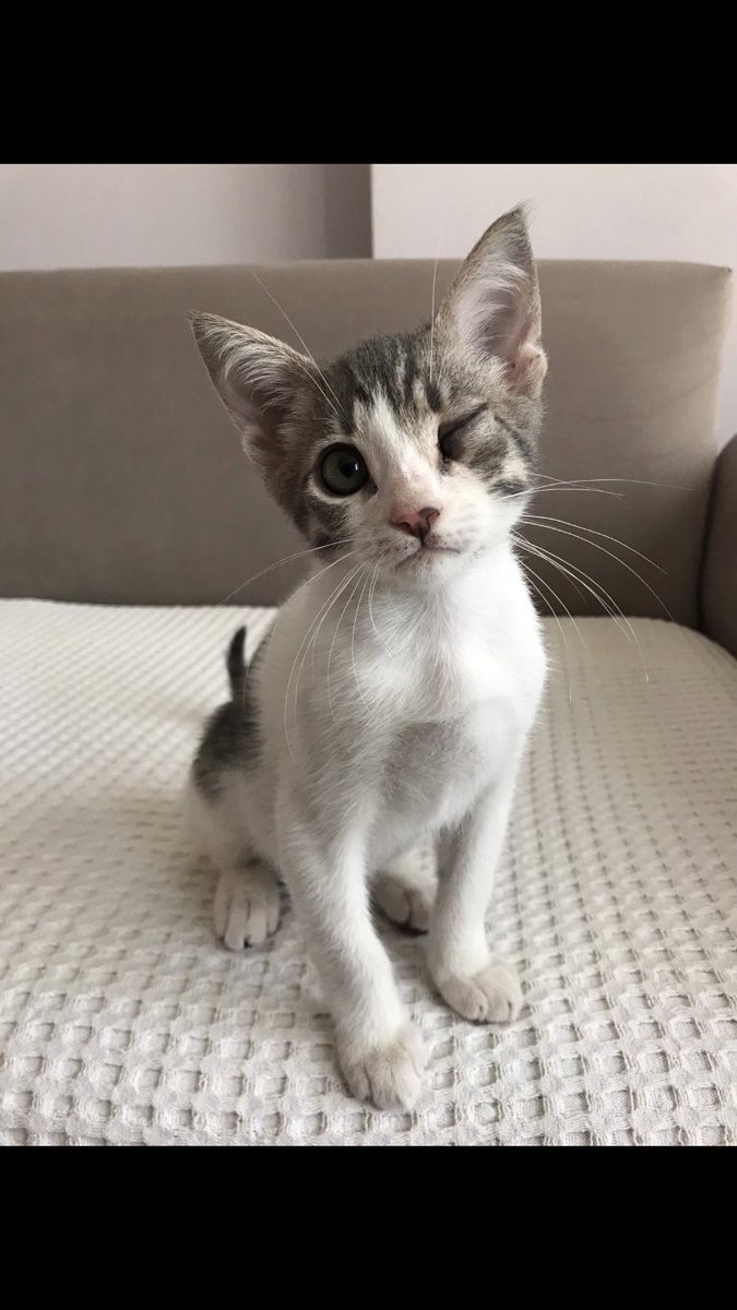 Yuva ianı
Bu çocuğu maalesef hala kimse sormadı, artık zamanı kalmadı ve engelli bir bebek. İnanın engeli hiç sorun değil aşırı sevgi dolu ve tedavisini tamamladı. Lütfen ona bir şans verir misiniz? RT yapar mısınız?