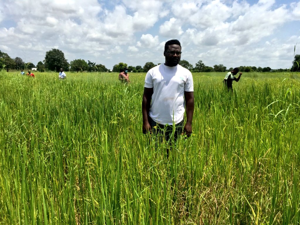 UNDP Ghana tweet media