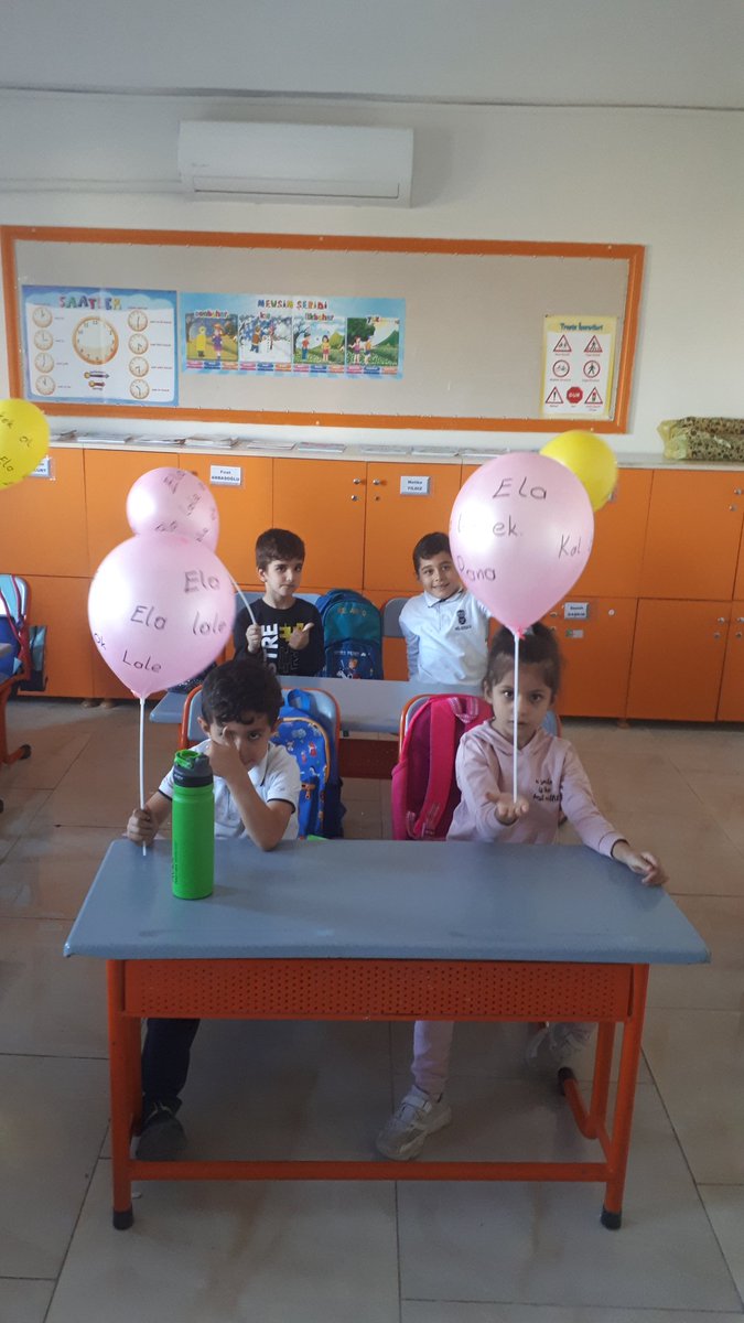 Bil Koleji 1-B SINIFI