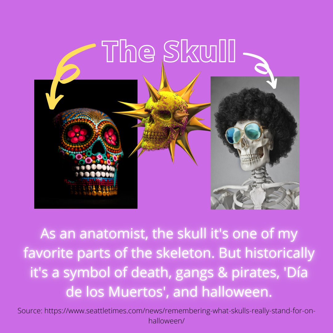 maryvi33's tweet photo. Here are some cool facts about the human skullππ»π what do you think?
β
follow @queenmaryanatomy on Instagram for more anatomy and study tips
#skull #skeleton #bone #body #anatomy #education #meded #nurse #fun #halloween #decoration #history #thewalkingdead #october #skelefun https://t.co/qpFyx0mtne