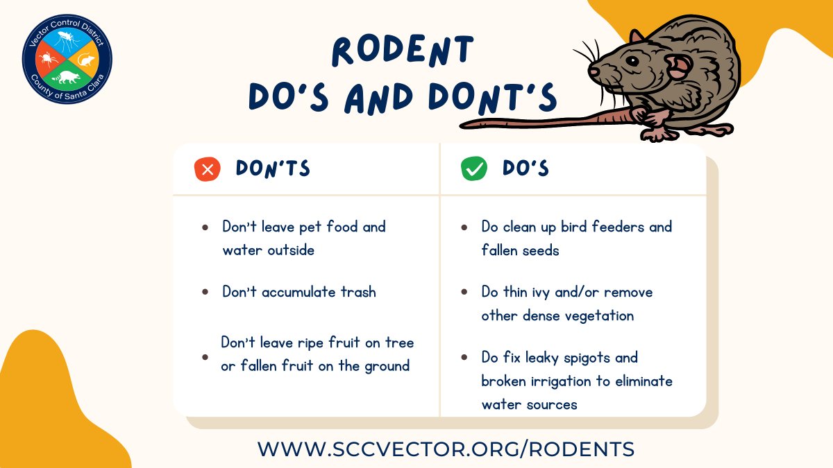 There are several precautions you can take to prevent attracting rodents to your home and from an infestation forming. For more prevention recommendations, visit linktr.ee/SCCVCD.