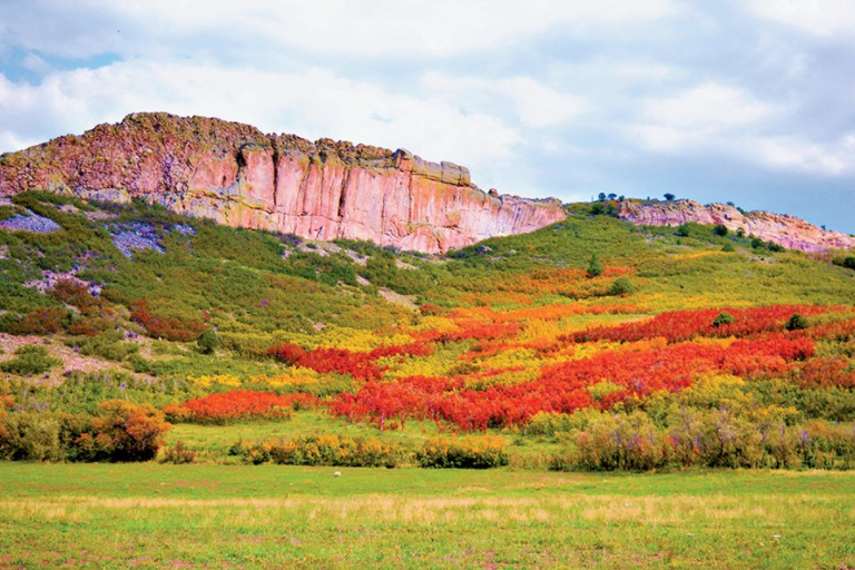 kellerbrosauto's tweet photo. AAA shared this article on Colorado's GOLD RUSH! Our amazing Fall colors! Where's YOUR favorite destination to see our colors?
https://t.co/QcenwFoOhX
Keller Bros Auto Repair is grateful to be recommended by AAA to their membership as a trusted shop!
#AAAapproved https://t.co/LXqFifQeVs