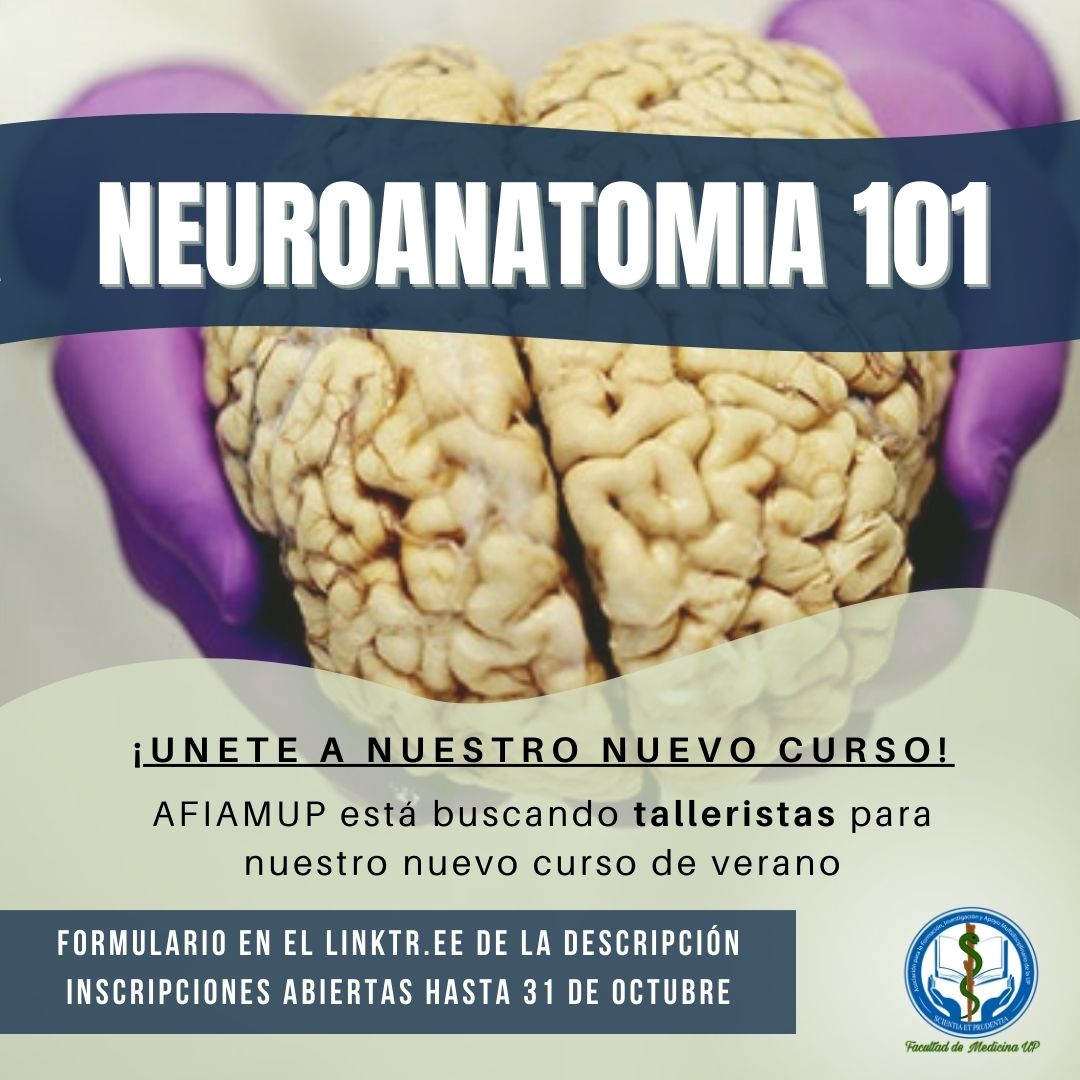 afiamup_'s tweet photo. Estamos organizando el curso de verano 🧠NEUROANATOMIA 101🧠

Buscamos estudiantes que estén interesados en formar parte del proyecto como TALLERISTAS👨‍⚕️💙👩‍⚕️

Link de inscripción: https://t.co/SpLYVRmUPt https://t.co/QiA880Yb2y