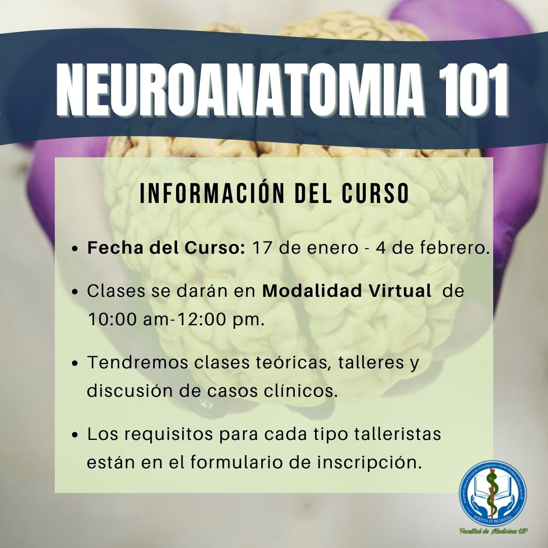 afiamup_'s tweet photo. Estamos organizando el curso de verano 🧠NEUROANATOMIA 101🧠

Buscamos estudiantes que estén interesados en formar parte del proyecto como TALLERISTAS👨‍⚕️💙👩‍⚕️

Link de inscripción: https://t.co/SpLYVRmUPt https://t.co/QiA880Yb2y