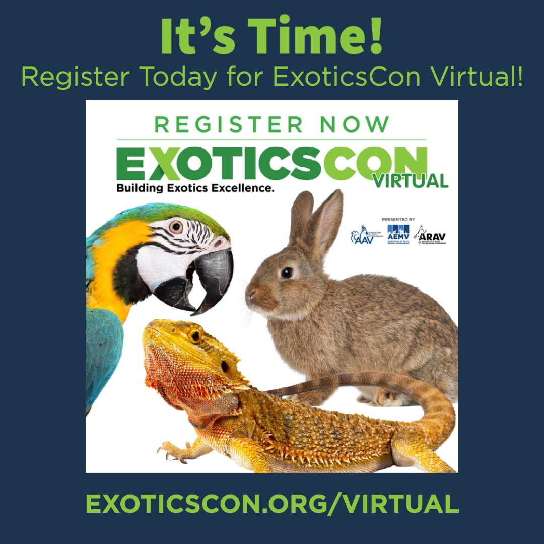 aavonline's tweet photo. ExoticsCon Virtual 2021 will take place November 12-14, 2021, with each day focused on one of the hosting associations, AAV, AEMV and ARAV.
https://t.co/JszmP9DbTd
#exoticscon #aav #avianvets #avianveterinarians #avianmedicine #avianhealth #parrothealth  #birdhealth https://t.co/tXP6mV0tck
