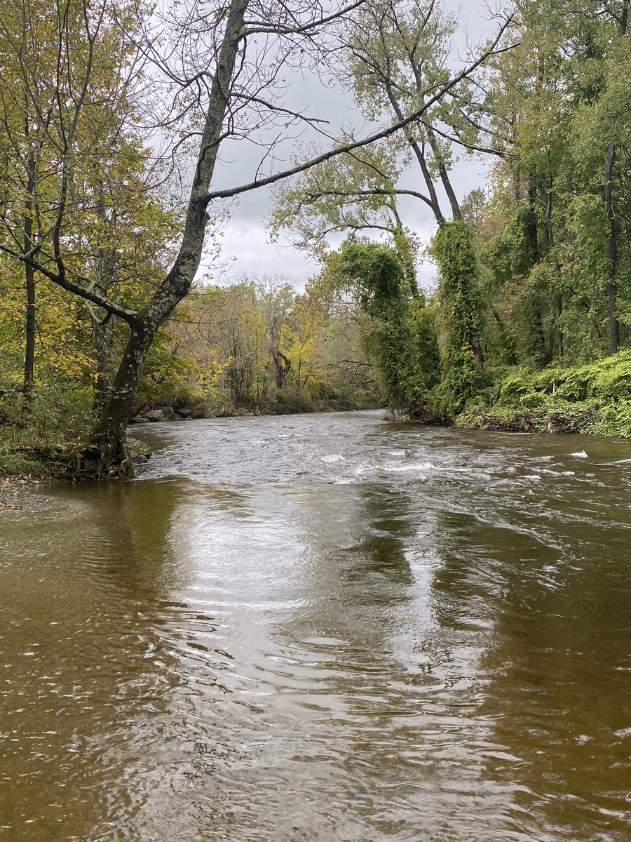 PattyB09952203's tweet photo. @MsRabbitKick …Today’s photo. The #Battenkillriver 💗 https://t.co/p4OssMcXIP