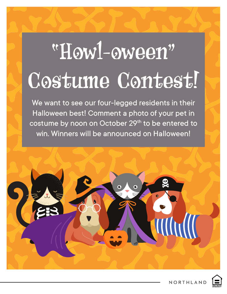 MuseoTx's tweet photo. It's a Howl-Oween Costume Contest at Museo!
Comment with a photo of your pet in costume and you could win!
#WeLoveOurPetResidents #Halloween2021 #austin
#LoveWhereYouLive #PetCostumeContest #Community
#AustinPets https://t.co/7gyssOGLjX