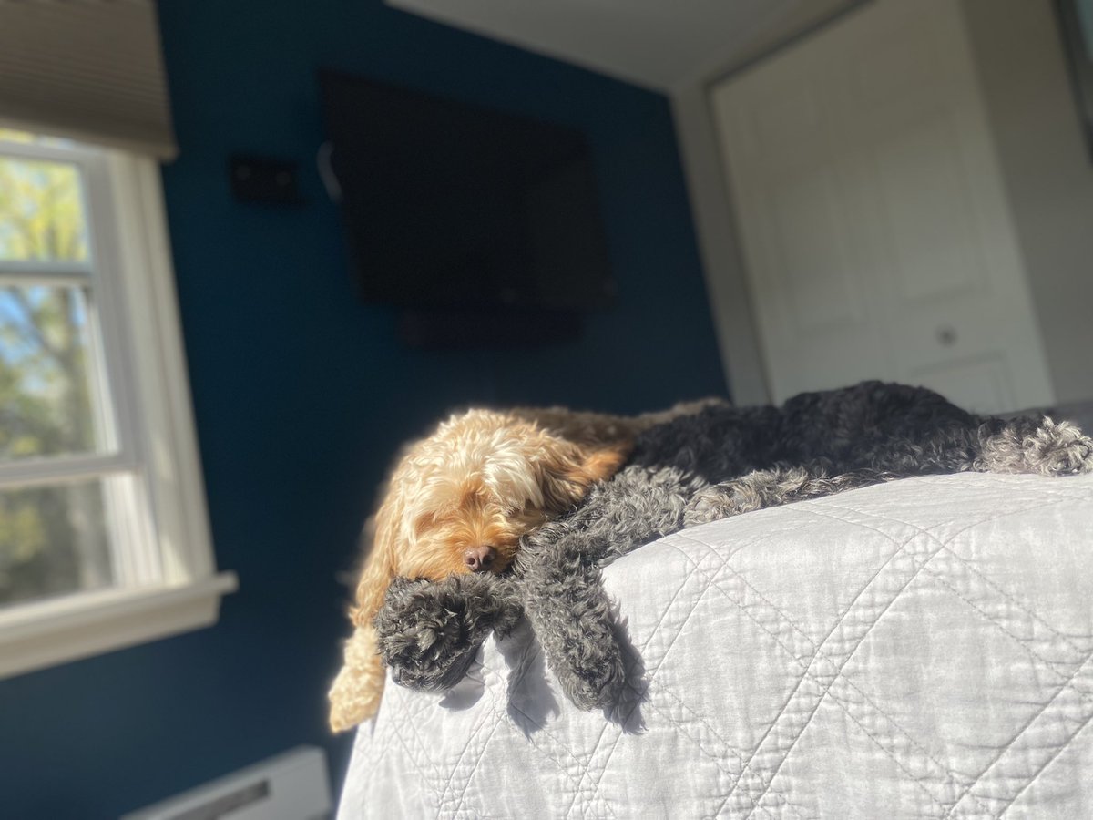 Obi-Wan Barker Long tweet media