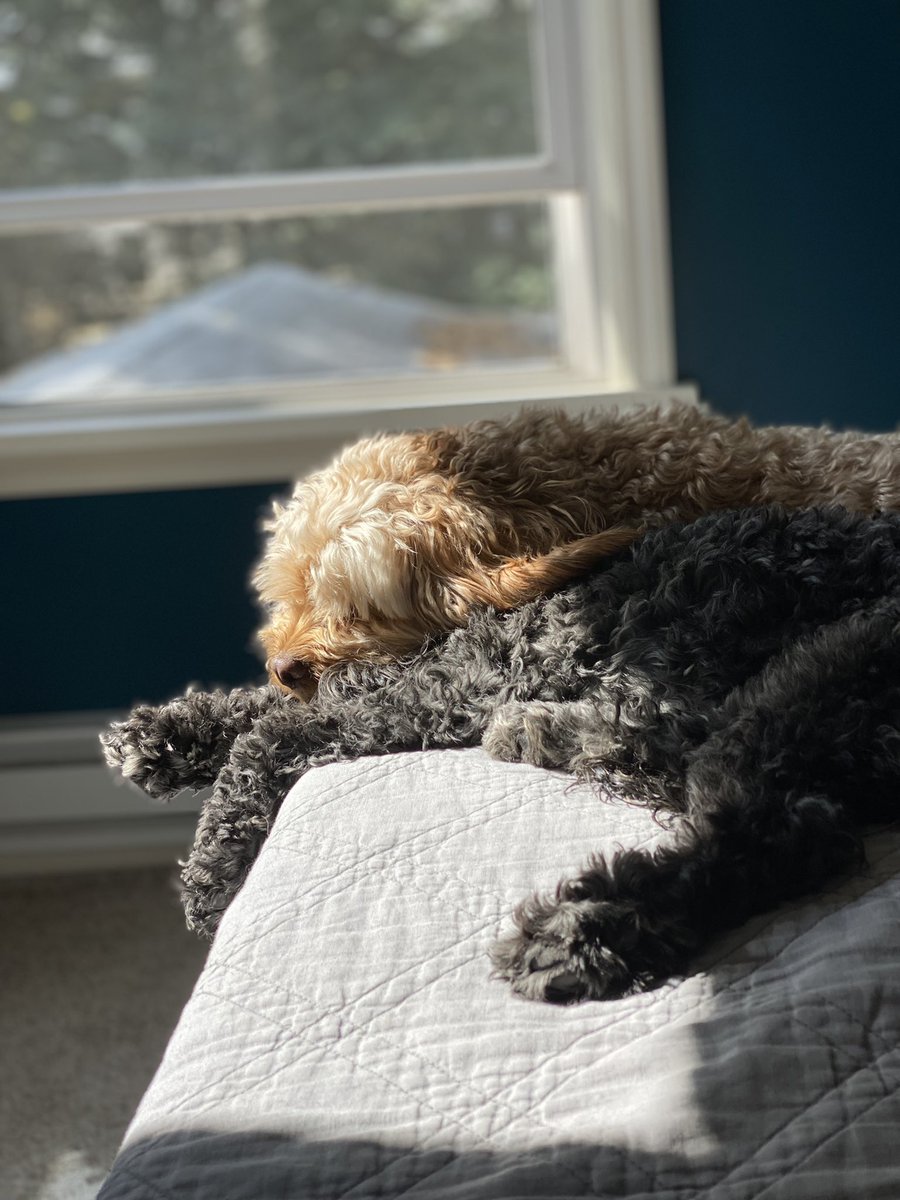 Obi-Wan Barker Long tweet media