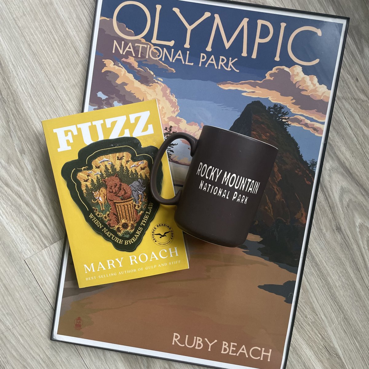 KentFreeLibrary's tweet photo. Explore nature gone wild in Mary Roach's new book, Fuzz. π»π¦π¦
#FatBearTuesday #FatBearWeek https://t.co/yEaToWRi8q