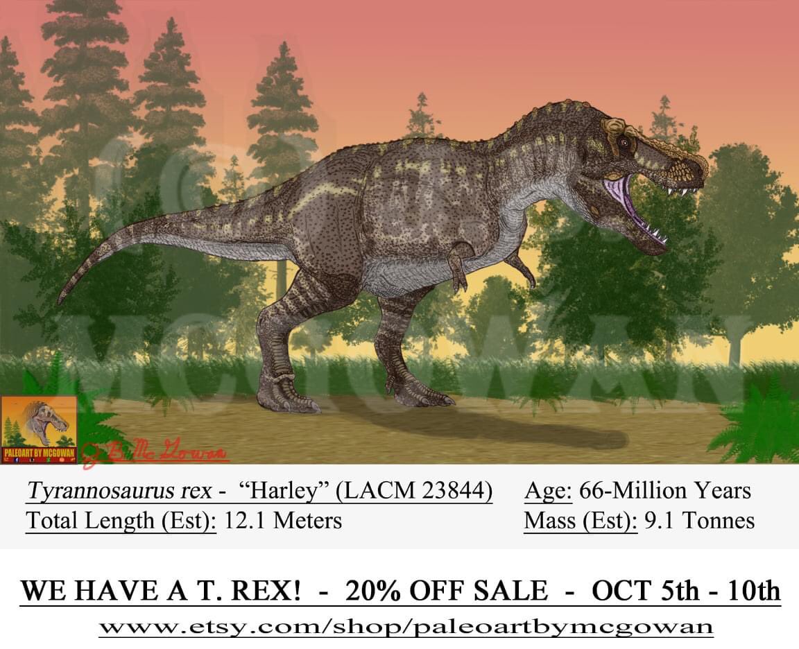 zt2 cretaceous calamity spinosaurus zt2 cretaceous calamity spinosaurus