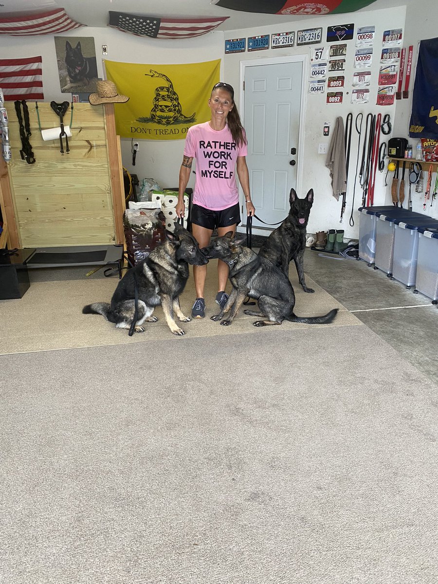 Typical Tara and Lydia operation. Try to go for a walk…get stuck in a storm. 💁🏻‍♀️(Second picture accurately describes Apart and Reagan’s relationship. I keep telling him that pretty soon he’s going to “like” her, whether he wants to or not! 😳) #gsd #k9 #dutchshepherd #workingdogs