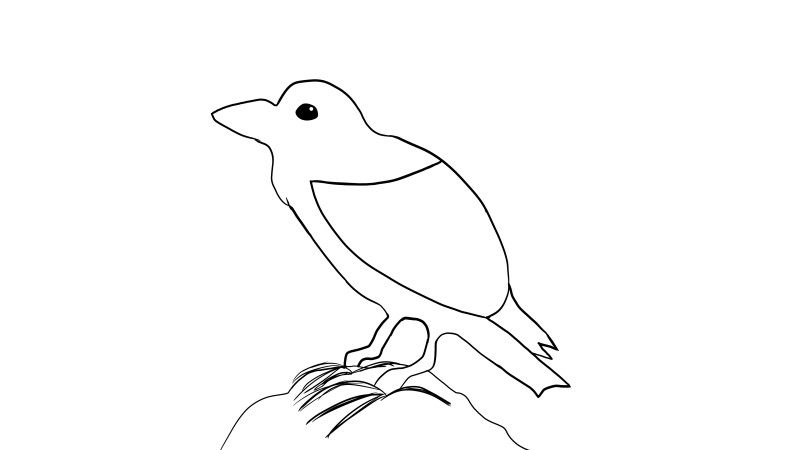 Sens4art's tweet photo. Inktober day five: "raven" -made by Meemil. I was lazy. #inktober2021 #inktober #inktoberday5 https://t.co/kgijgi40KV