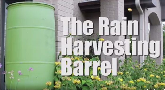 land_fix's tweet photo. Truly start living off the grid with this homemade rain barrel (it’s easy too!) https://t.co/UomWopIOYx https://t.co/WlBYFtbXWh