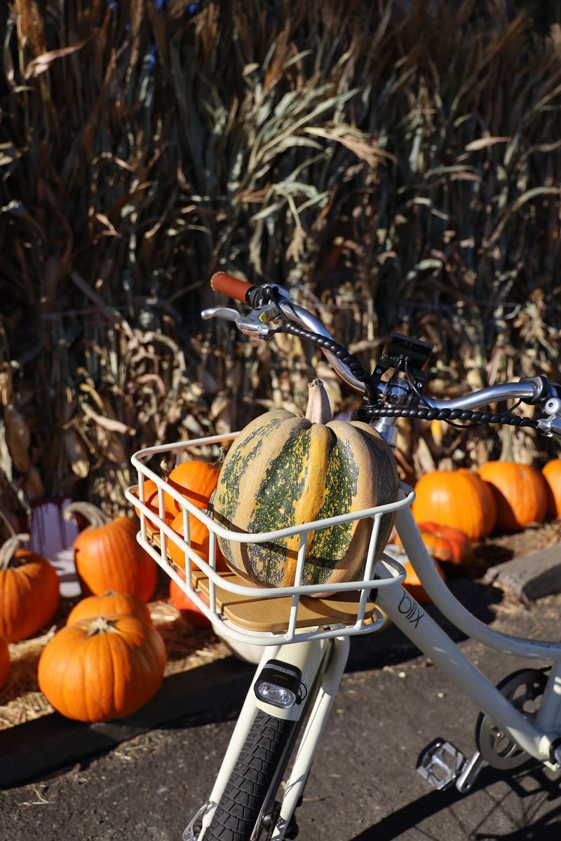 Charged up for all your favorite fall activities. 🍂 #autumnvibes