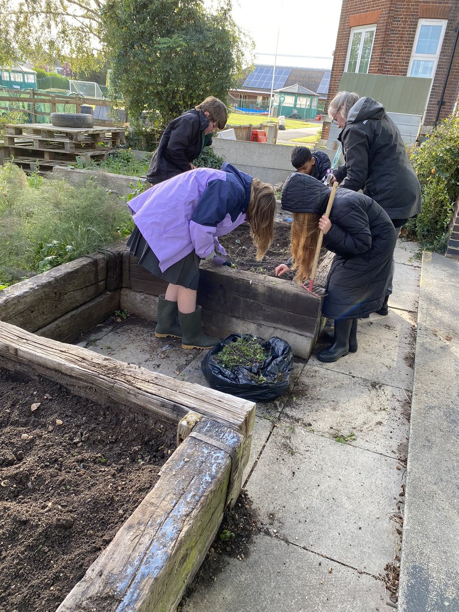 Gardening club were determined to clear another plot of weeds. They had great fun finding mini beasts and worms in the soil in the process. Great team work everyone! <a href="/GreenwaysPri/">Greenways Primary</a>