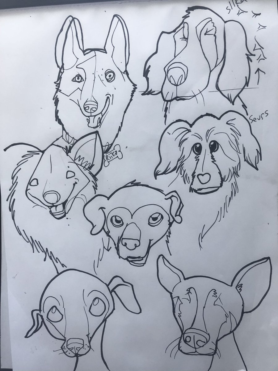 GZzyzyx's tweet photo. Oh wow I made the middle #dog look like a creepy monkey 😂😂 
#illustration #illustrator #petportrait #art #cartooning #DapperDoggo @CbFcomics Whoopsiedoodle! https://t.co/1KvI6G2k0h