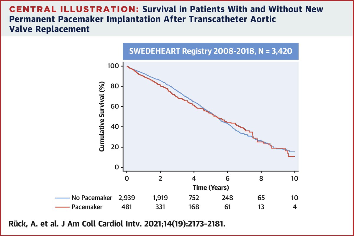 Andreas Rück (@andreasrck2) on Twitter photo No danger with new pacemaker after #TAVR!? 3420 pat <a href="/RealSwedeheart/">Swedeheart</a> study: no increase in mortality, heart failure hospitalization or endocarditis at 2.7 yrs median FUP. Now out in JACC Cardiovasc Interventions.
<a href="/NatalieGlaser10/">Natalie Glaser</a> <a href="/GilbertTangMD/">Dr. Gilbert Tang</a> No danger with new pacemaker after #TAVR!? 3420 pat <a href="/RealSwedeheart/">Swedeheart</a> study: no increase in mortality, heart failure hospitalization or endocarditis at 2.7 yrs median FUP. Now out in JACC Cardiovasc Interventions.
<a href="/NatalieGlaser10/">Natalie Glaser</a> <a href="/GilbertTangMD/">Dr. Gilbert Tang</a>