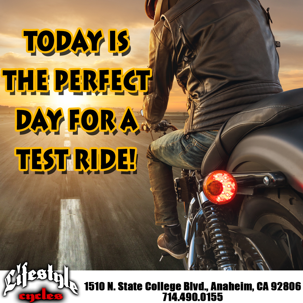 Lifestylecycles Lifestylecycles Twitter