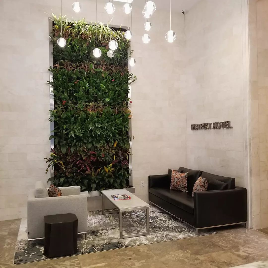 Have you missed us?

We've certainly missed you! 😉

#reopeningsoon #distrikthotelnewyorkcity  #tapestrycollectionbyhilton
#welcomback
#timessquare