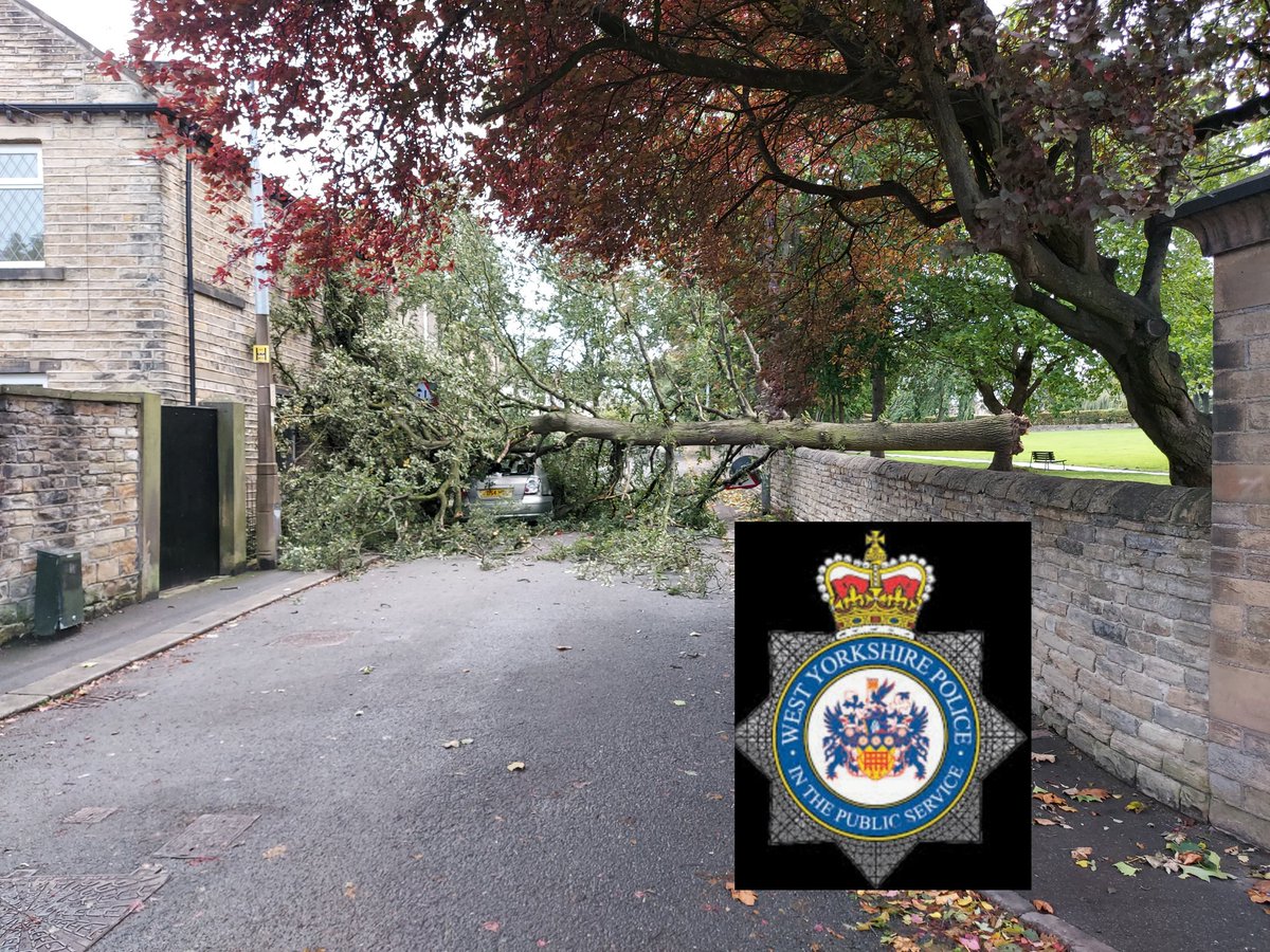 Due to bad weather we have come across a number  of trees which have come down thankfully no injuries
Kirklees NPT