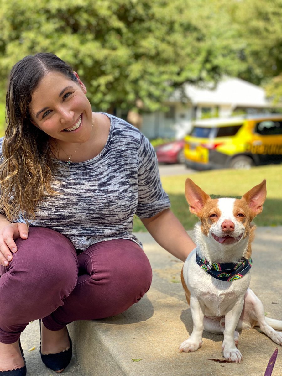 BarkyBo's tweet photo. Jaqweenie is going to be on @ABC11_WTVD today at 4:30 discussing his harrowing battle with the "papercut" &amp; how to tell if your dog is in pain! Check it out! You can watch the livestream from their website 

#dogsoftwitter #news #NewsUpdates #dogs https://t.co/z7n4KHQZ8B