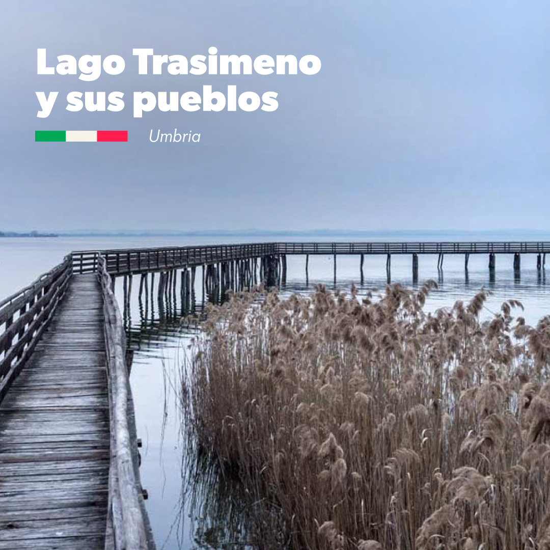 Italia_Arg's tweet photo. #IDEASDEVIAJE - LAGO TARSIMENO Y SUS PUEBLOS 🇮🇹
📍Un auténtico paraíso natural, entre colinas con bosques que alternan campos de girasoles y maíz con viñedos y plantaciones de olivos.
https://t.co/thAhXI0PmR
 
#ENITArgentina #ENITItalia #ViajeaItalia #Italiasentieridellanima https://t.co/PVUpBodUmf