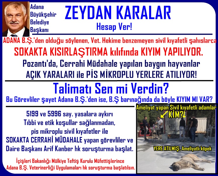 .<a href="/Adana_Bld/">T.C. Adana Büyükşehir Belediyesi</a> Bşk <a href="/ZeydanKaralar01/">Zeydan Karalar</a> Hesap Ver!
Adana B.Ş'den olduğu söylenen, Veteriner Hekime benzemeyen sivil kıyafetli şahıslarca SOKAKTA KISIRLAŞTIRMA KILIFINDA KIYIM YAPILIYOR
Bu görevliler Adana B.Ş.'den ise barınakta da KIYIM MI VAR?
@Pozanti_Bel <a href="/TCAdanaValiligi/">T.C. Adana Valiliği</a> <a href="/TC_icisleri/">T.C. İçişleri Bakanlığı</a>