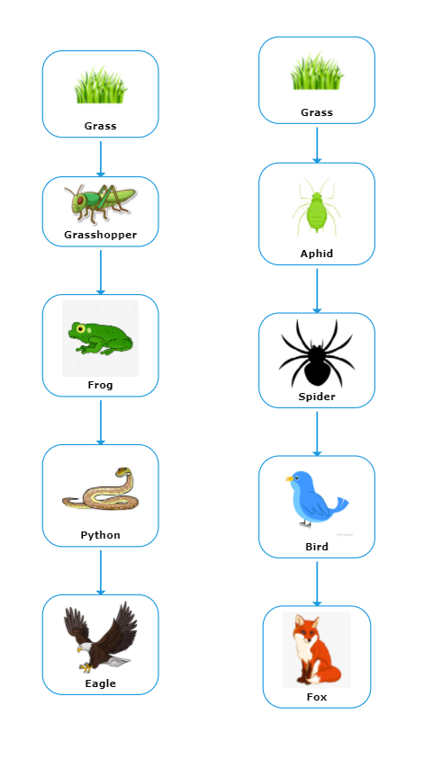MrKSDyck's tweet photo. Grade 7s @PortWellerPS created #FoodChains using @Mindomo &amp; learned more about #FoodWebs in Florida from Odyssey Earth (https://t.co/mS5FQGjN3L) with their #FoodWeb video (https://t.co/oISuG9d87i). #Ecosystems #InteractionsInTheEnvironment #Biology #Science #Producers #Consumers https://t.co/xBlxAizHio