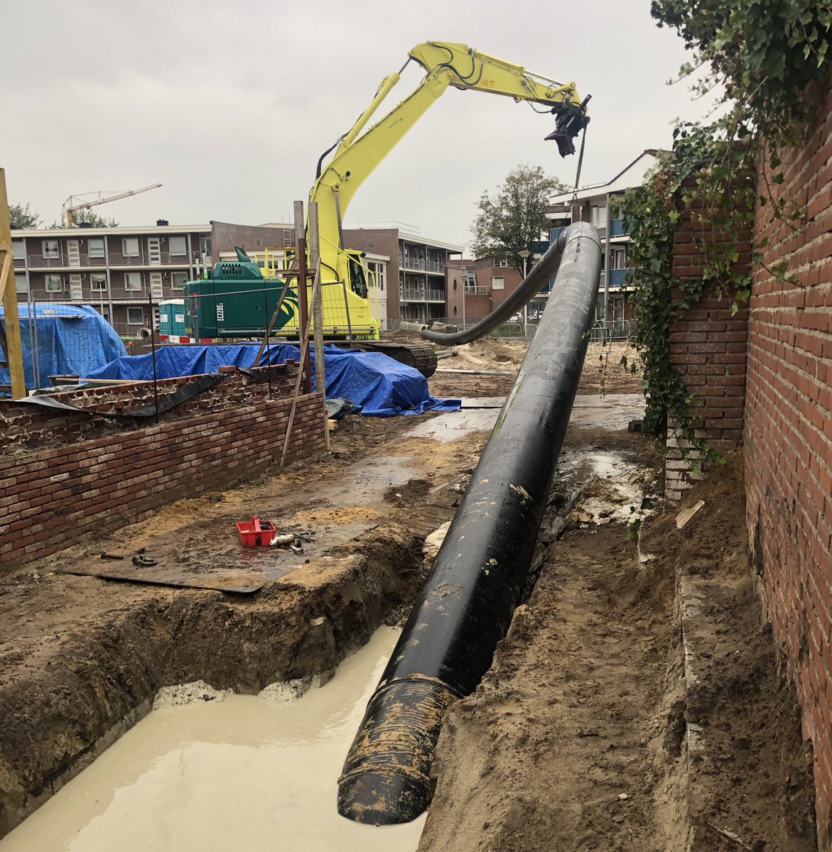 Frank Glaubitz tweet media