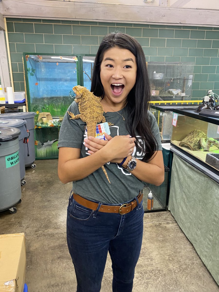 Clair Song (@mssongdotcom) on Twitter photo The SEL team had such a wonderful time presenting to <a href="/HolifieldSLC/">Holifield-Plano ISD</a> !! Thank you for making such an impact on our PISD kiddos! We love our <a href="/HolifieldSLC/">Holifield-Plano ISD</a> peeps!! <a href="/pisd_sel/">PISD SEL</a> The SEL team had such a wonderful time presenting to <a href="/HolifieldSLC/">Holifield-Plano ISD</a> !! Thank you for making such an impact on our PISD kiddos! We love our <a href="/HolifieldSLC/">Holifield-Plano ISD</a> peeps!! <a href="/pisd_sel/">PISD SEL</a>