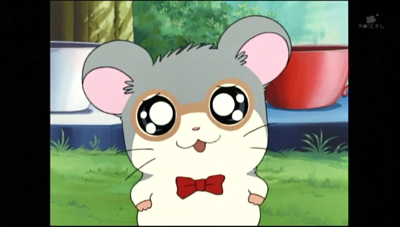 めがねくん生誕祭 Twitter Search Twitter