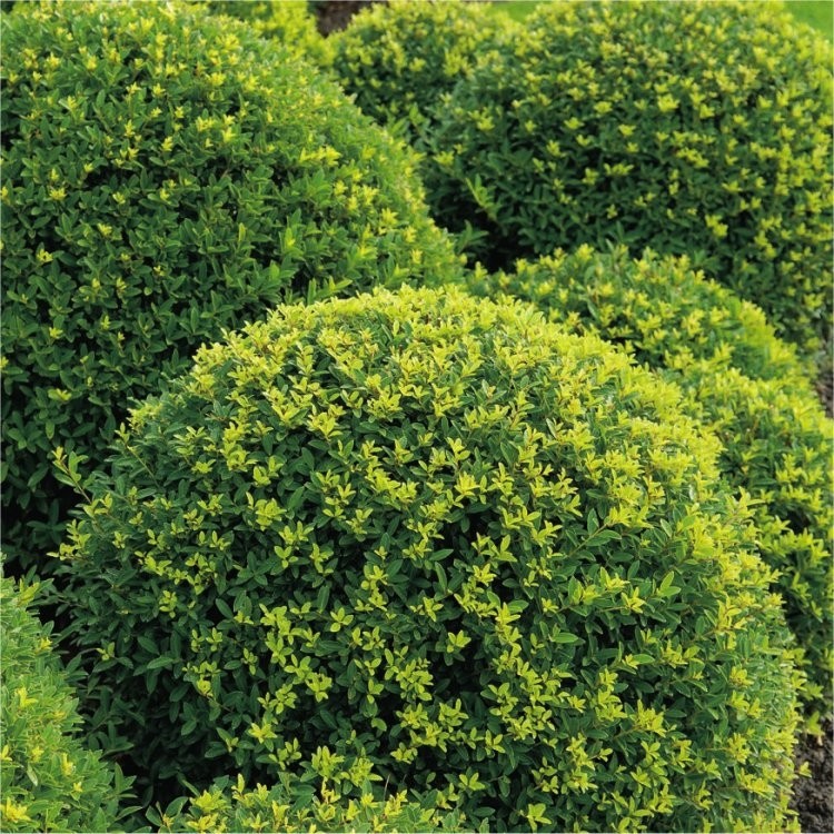 Gardening Express tweet media