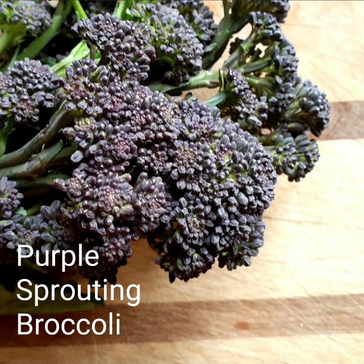 mkt_updates's tweet photo. I'm baaaaaack!
.
.
.
#purplesproutingbroccoli
#purplebroccoli
#specialtyfoodsboston
#purpleseason
#boutiqueproduce
#bostoneats 
#chefsfeed 
#bostoneater
#producesourcing
#beautifulproduce
#eaterboston
#bostonfoodies
#supportlocalbusinesses 
#supportlocalfarms https://t.co/ZKu6FkYqF4