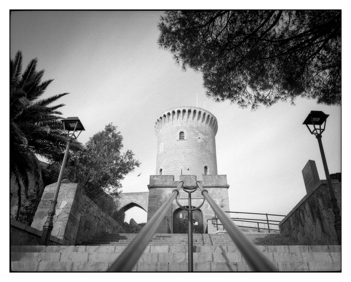 'The handrail accompanies me, not even with all the steps I can see the view of the pigeon'
#Koniomega 200
58mm 
#RPX 400
#Caffenol CH
Epson #V550
#Mallorca #6x7 #film #Epson #analog #landscapephotography  #Monochrome #Rollei #Palma #120mm #CastelldeBellver