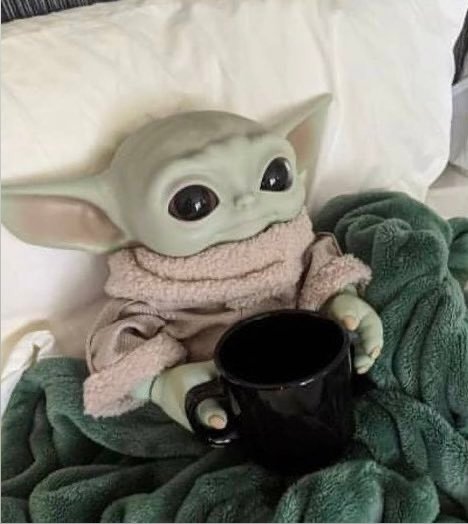 Me: "Sorry I can't come out this weekend, I already have plans"

Also me in bed watching netflix: