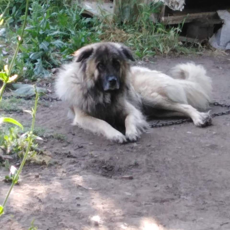 HAVLADIĞI İÇİN SÜREKLİ ŞİKAYET EDİLEN EVLADI ACİL ORDAN KURTARIP ÖMÜRLÜK EVLAT GÖRECEK MELEĞİ ARANIYOR.
ÇANAKKALE/ LAPSEKİ
İLETİŞİM:0542 576 95 17