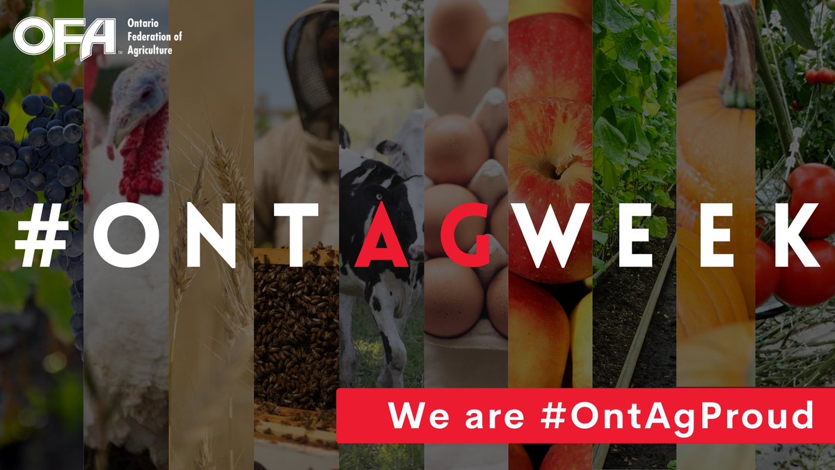 This #OntAgWeek, we want to recognize our farmers who grow and produce more than 200 different commodities that are fresh, healthy, affordable, local and easily accessible to Ontarians. We are #OntAgProud  🙌