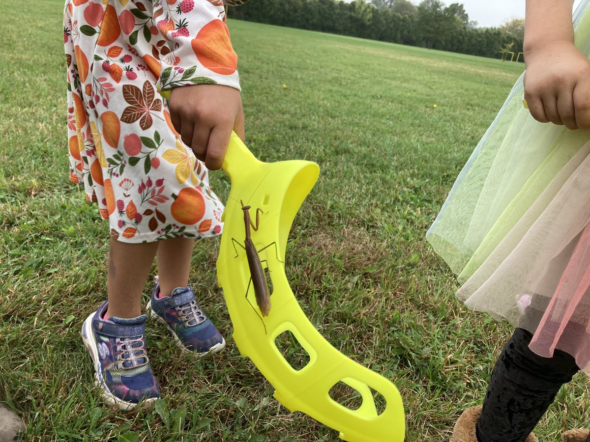 We had a visitor today in 1C outdoor Phys Ed. <a href="/belleriverbucs/">Belle River PS</a>