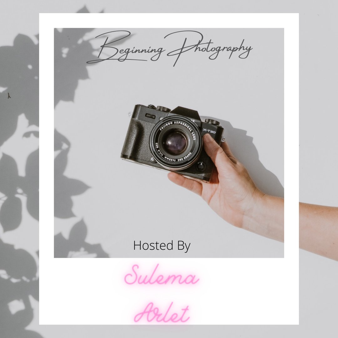 "This week I sat down with Robert Peterson, a Portrait Photographer based in the San Fernando Valley. We discussed the ups and downs of photography, such as the struggle of buying a DSLR and the excitement of taking Portraits"- Sulema Alert