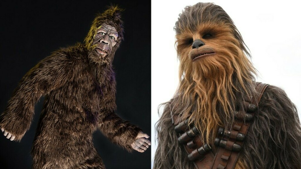 Bigfoot and Chewbacca are related. 

OK, they are not related but when Star Wars was filming in The Redwood Forrests Peter Mayhew had to have bodyguards protecting him from hunters.  The Bodyguards wore fluorescent yellow vests and stayed near him so hun… https://t.co/dLIfRDS5Jq https://t.co/62gQO8wmeT