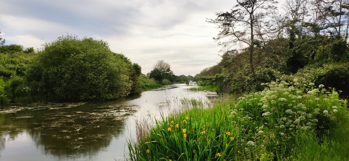 SavePrincesPara's tweet image. Get your tickets today! Available in Hythe, Sandgate and Folkestone priced £12.50 (see image). It's going to be brilliant! 

To purchase by PayPal pay to the email membership@saveprincesparade.org and add a message stating how many tickets and a name for collection on the night.