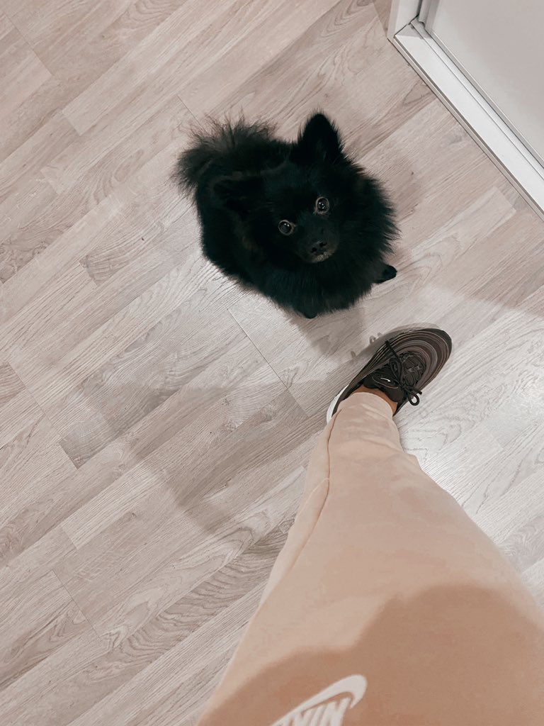 🤪