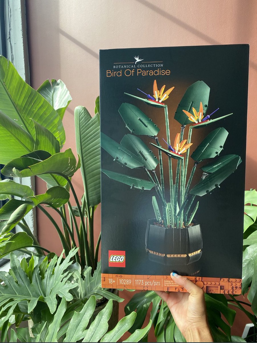 GnarlyAF's tweet image. No one: 

@Darock_Bud :